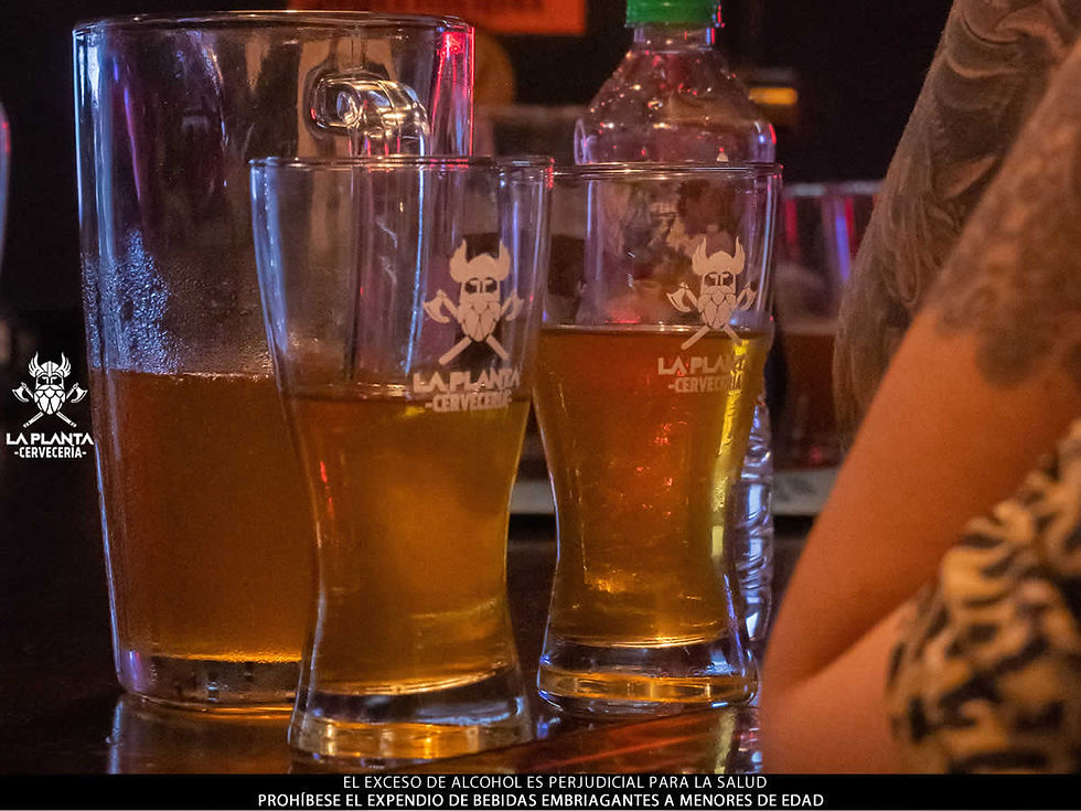 Guia de tendencias cervecera 2026. www.lapantacerveceria.com