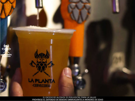 Todo lo que debes saber sobre la maduración de la cerveza artesanal. www.laplantacerveceria.com