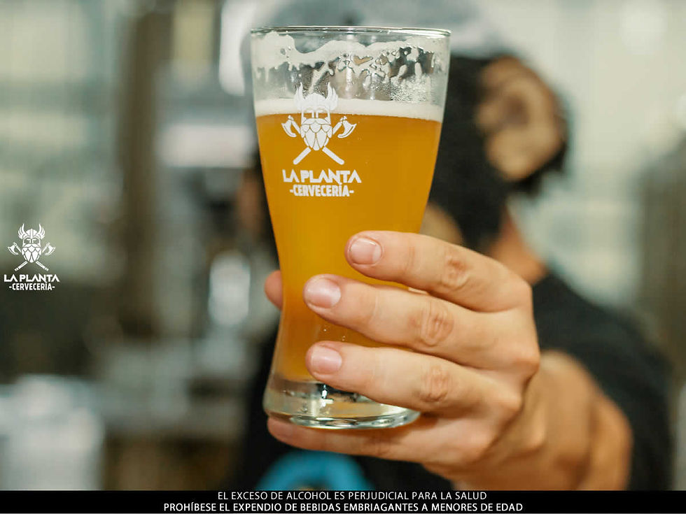 Tour cervecero para empresas: team building con la mejor cerveza artesanal de medellín. www.laplnatacerveceria.com
