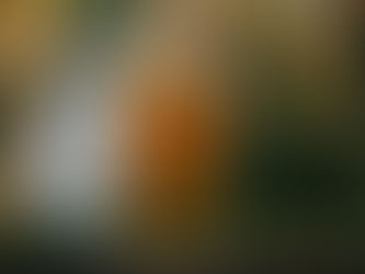 Cerveza sin gluten: una alternativa real para nuevos consumidores. www.laplantacerveceria.com