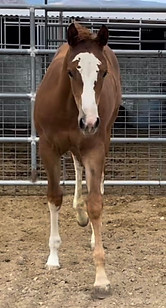 298378583_10166690403190013_433758989801