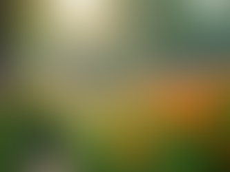 Uncover the Coolest Sustainable Landscaping Trends for Your Eco-Friendly Garden