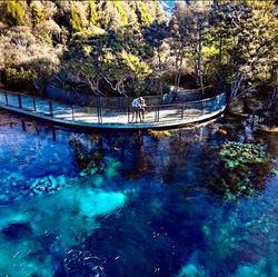 Waikoropupu Springs