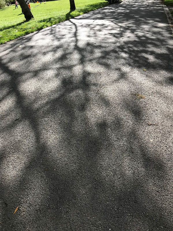 IMG_0113.jpeg