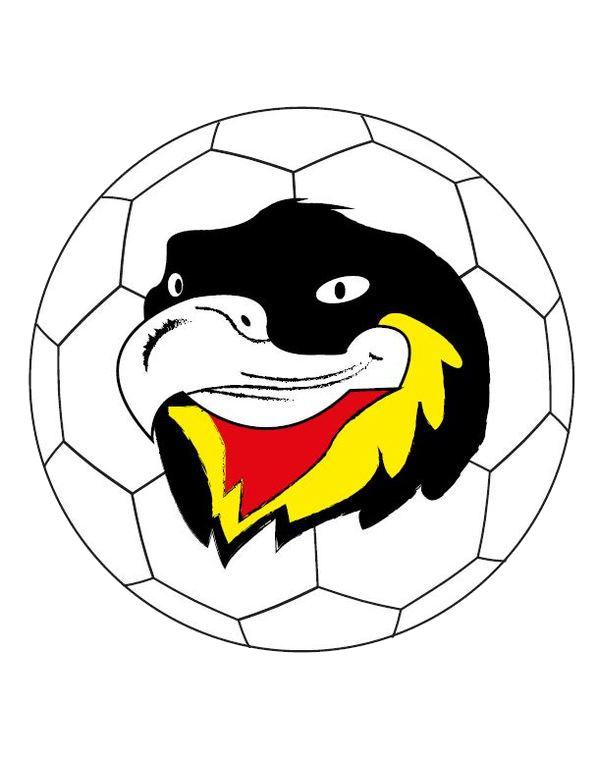 Handbalclub Eagles Aarschot