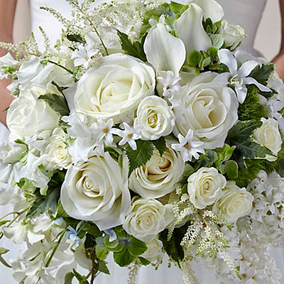 7407577A-0135-4799-8641-FF669D50009A.jpe