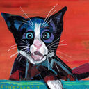 Zombies are Coming!.jpg