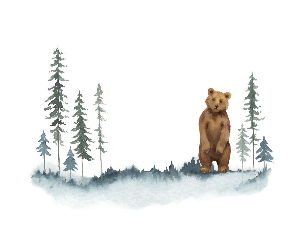 iStock-1278618643-3.jpg