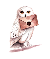 Waldwurzel | Tom Veda | Blog