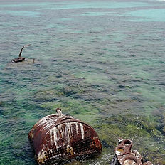 Roatan Shipwrek Snyg