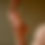 Thumbnail: Caramel Kinesio Tape - 2 Pack