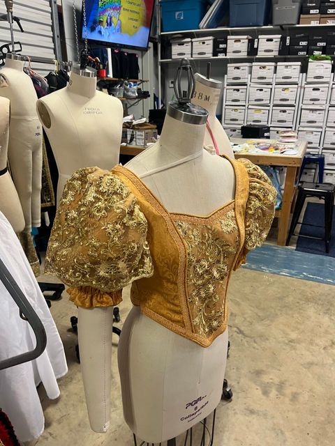 Nutcracker, Grown up Ballgown