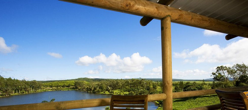 Présentation maison mère production thé by Victoria_edited.jpg