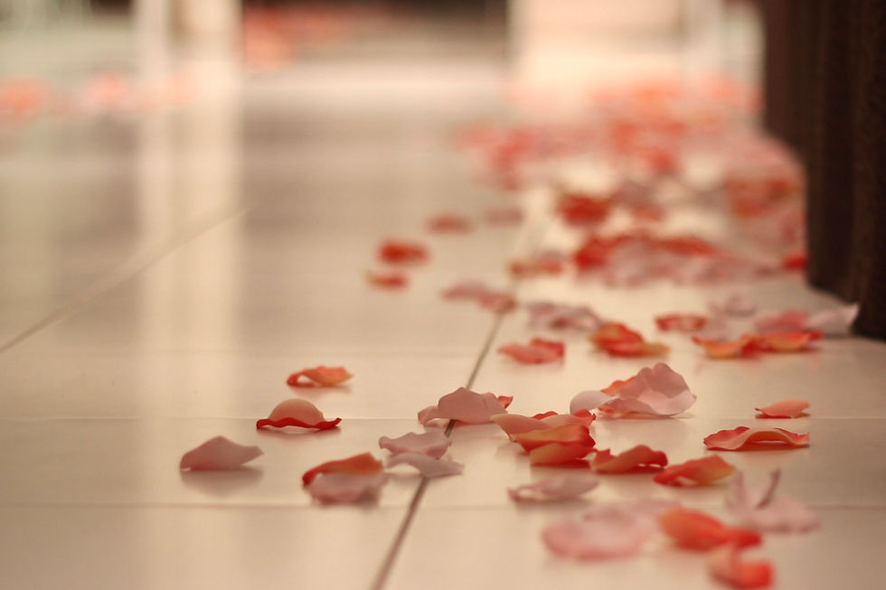 光に舞う、祝福の花びら