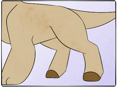 hooves.gif