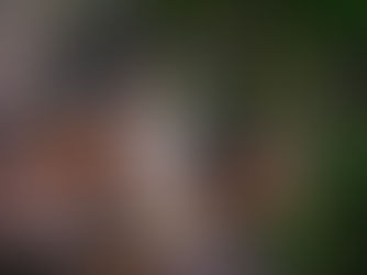 Waldweihnacht am Forsthaus Rahm