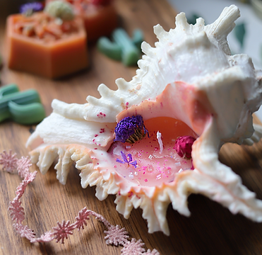 Seashell candle with pink wax