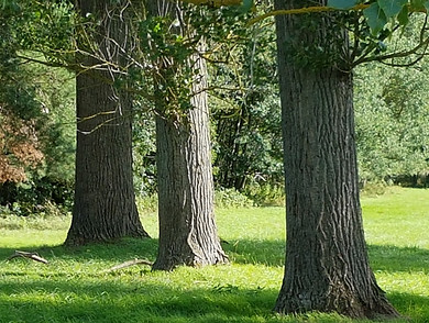 20190813_161623.jpg
