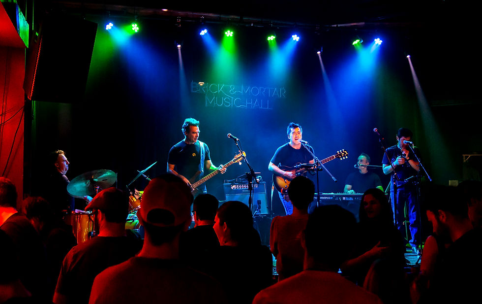 Fuzz Collective at Brick And Mortar