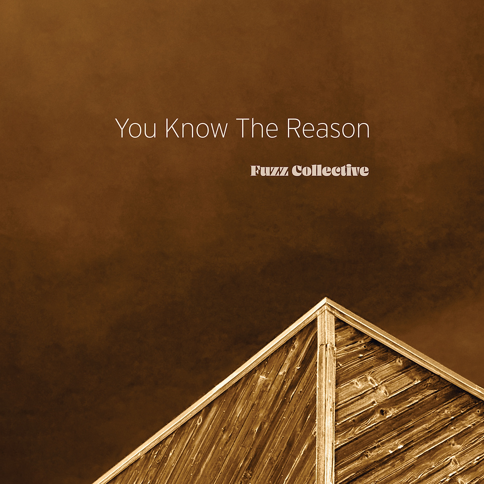 Fuzz Collective Album Cover copy.png