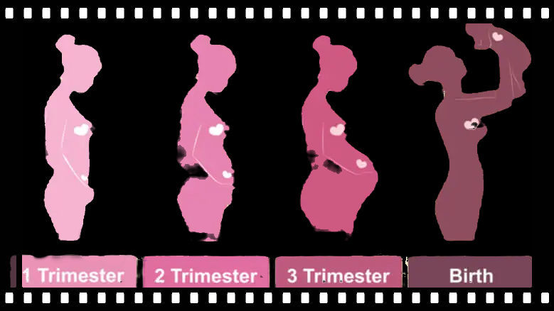 MTP - Dosage for 1st & 2nd Trimester