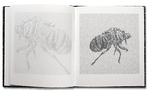 Sixth spread of The Ten Thousand Things