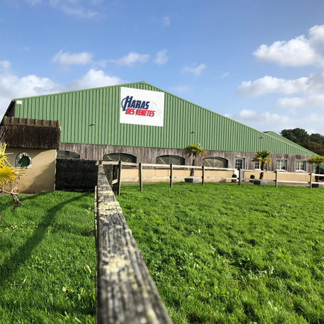 TROUVEZ SA PENSION CHEVAL EN BRETAGNE DANS LE MORBIHAN 56.