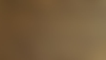 Exploring Smoked Chevron Flooring Options: The Benefits of Smoked Ambra Chevron Flooring