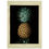 Thumbnail: 1812 Black Jamaica (Pineapple) Vintage Print