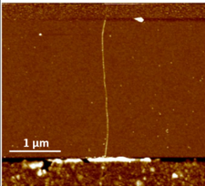 Isolated CNT channel