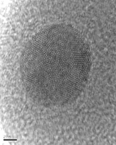Metal coated enzyme
