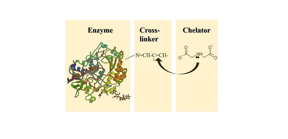 Directed metallization of enzymes