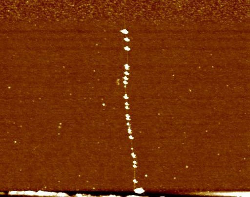 Nanoparticles-decorated CNT