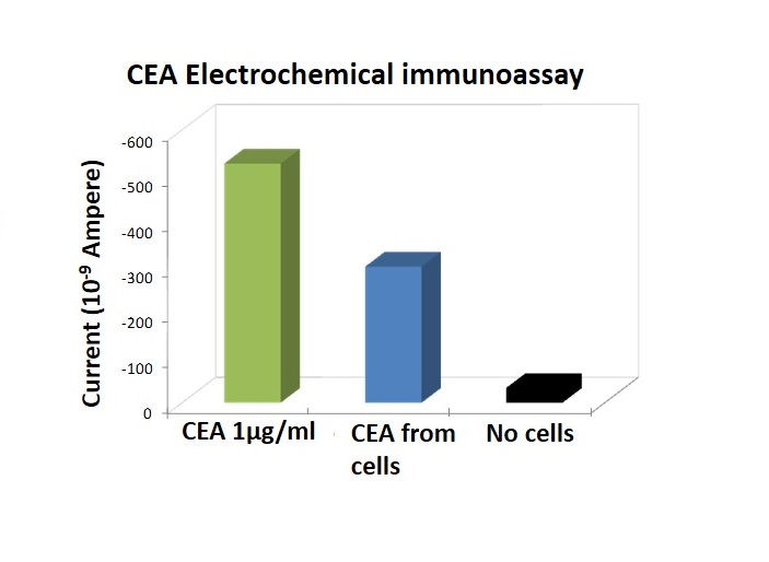 Electrochemical immuno-detection