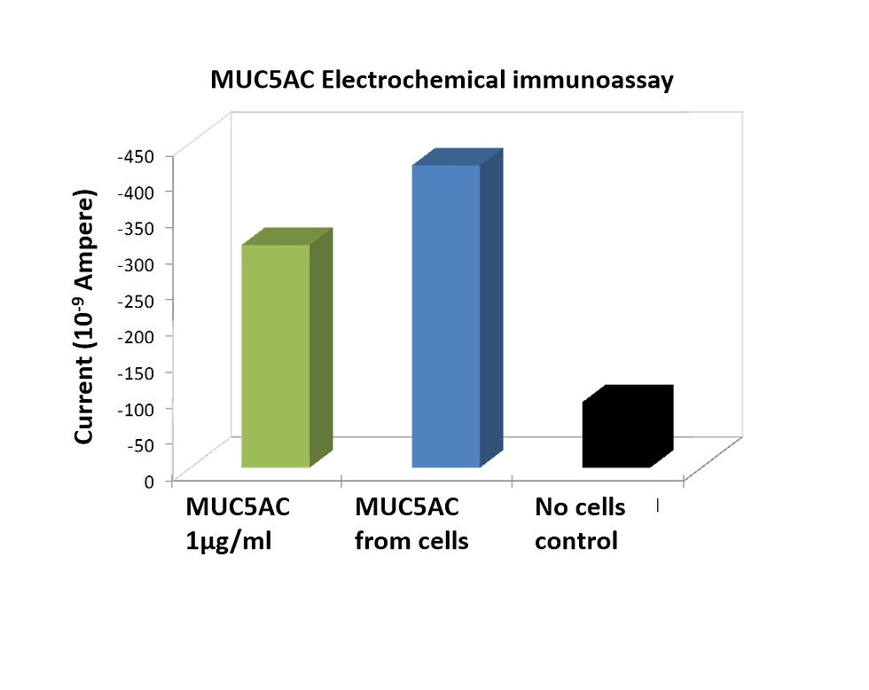 Electrochemical immuno-detection II