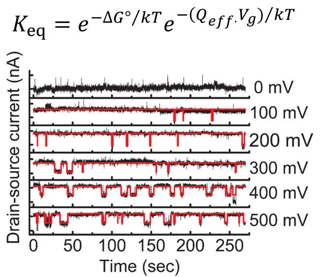 Single molecule trajectories