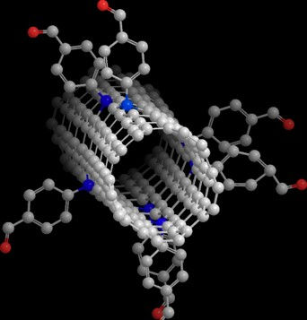 CNT bio-functionalization