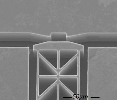 Single cell chamber