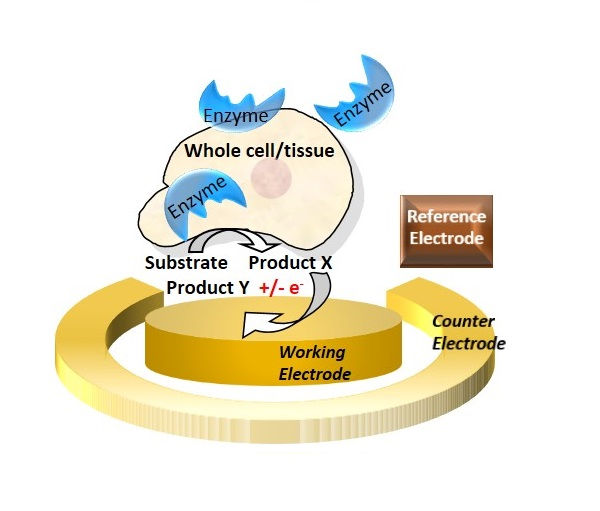 Direct amperometric detection