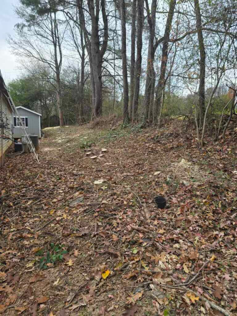 Resized_20251120_155630_248488732818071_1764180750081