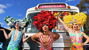 30 éves Priscilla, a sivatag királynőjének kalandjai