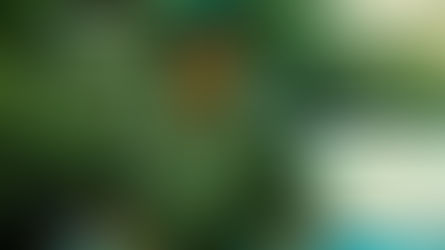 Egy leszbikus története az ausztrál hadseregben