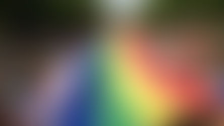 Projektmunkatársakat keres a Budapest Pride