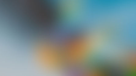 Skóciában kötelező tananyag lesz az LMBTQ+ történelem 