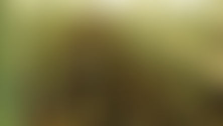 A Xaver miatt kalandtúrává vált a randim, de a viharnak halálos áldozatai is voltak!