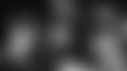 Mindent szabad de semmi sem kötelező a CoXx meztelen partiján