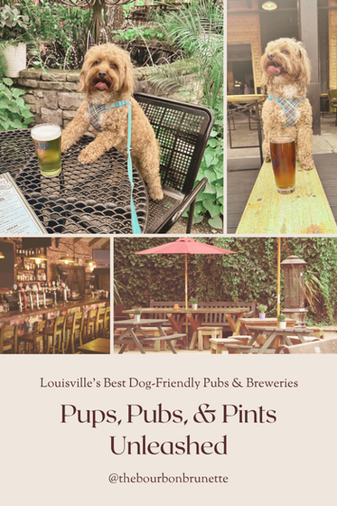 Exploring the Best Dog-Friendly Pubs and Breweries: Pups, Pubs, and Pints Unleashed