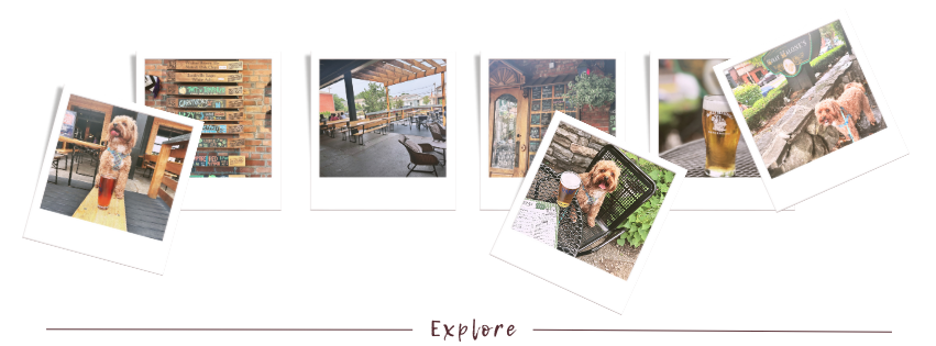 dog friendly places in Louisville