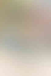 exploring Louisville's Local food stores