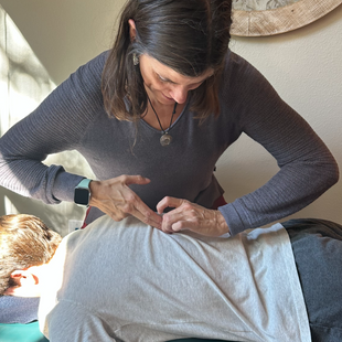 Chiropractor South Austin